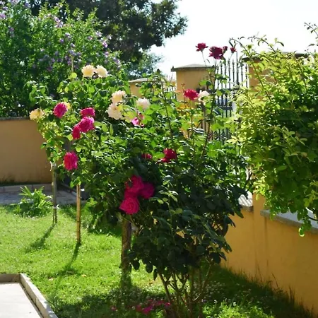 Al Mare 4 Apartament *