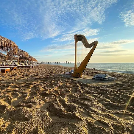 Al Mare 4 * Școrpilovți